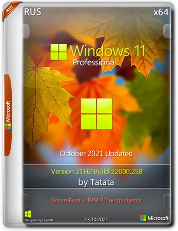 Windows 11 Professional 22000.258 x64 (2021) [Rus] by Tatata