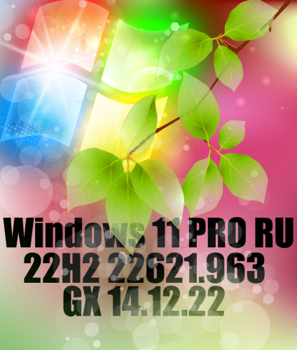 Windows 11 PRO 64  22H2   