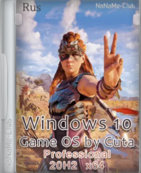 Windows 10 Professional 20H2 64 bit Game Edition