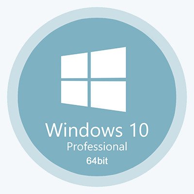 Windows 10 Professional 64  22H2  