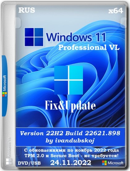 Windows 11 22H2  Pro x64    