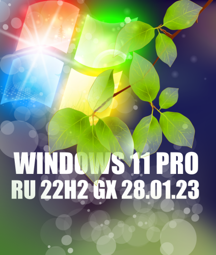 Windows 11 22H2 Professional 64 bit by GX  TPM 2.0