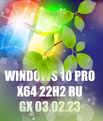  10 PRO x64 22H2    