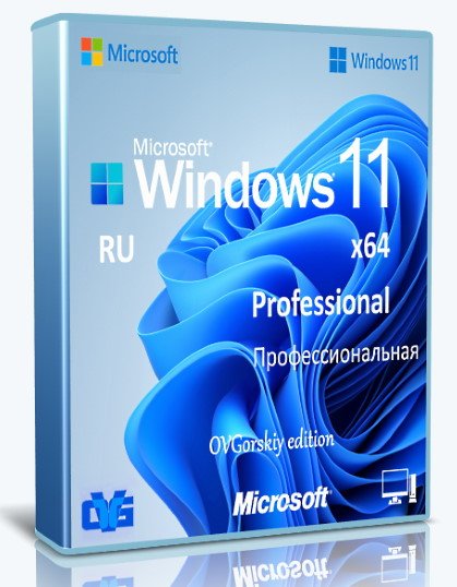 Windows 11 Professional   by OVGorskiy  