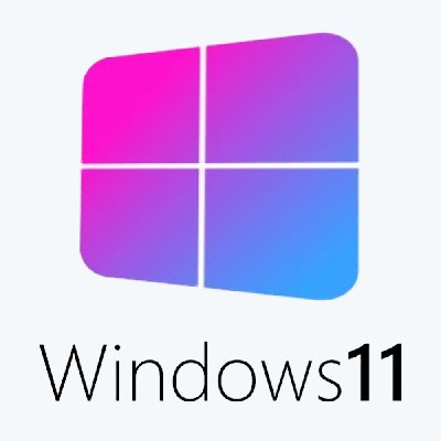 Windows 11 Professional 64 bit Lite-  
