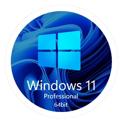 Windows 11 Professional 64 bit  