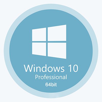 Windows 10 Professional 22H2 64 bit Comact OS  