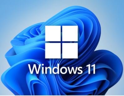Windows 11 23H2 x64 Pro/Home    