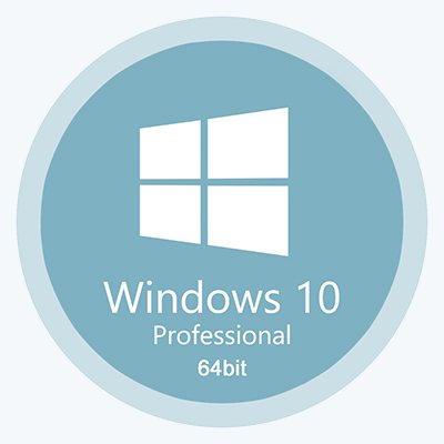 Windows 10 Professional 22H2 64  RUS    