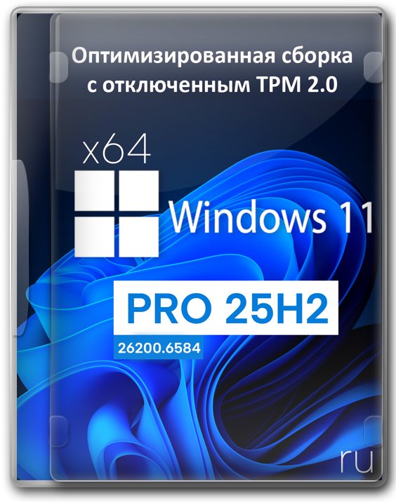  11  25H2 64  2   
