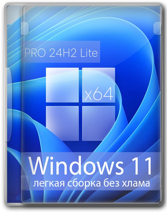 Windows 11 Professional 24H2 64    