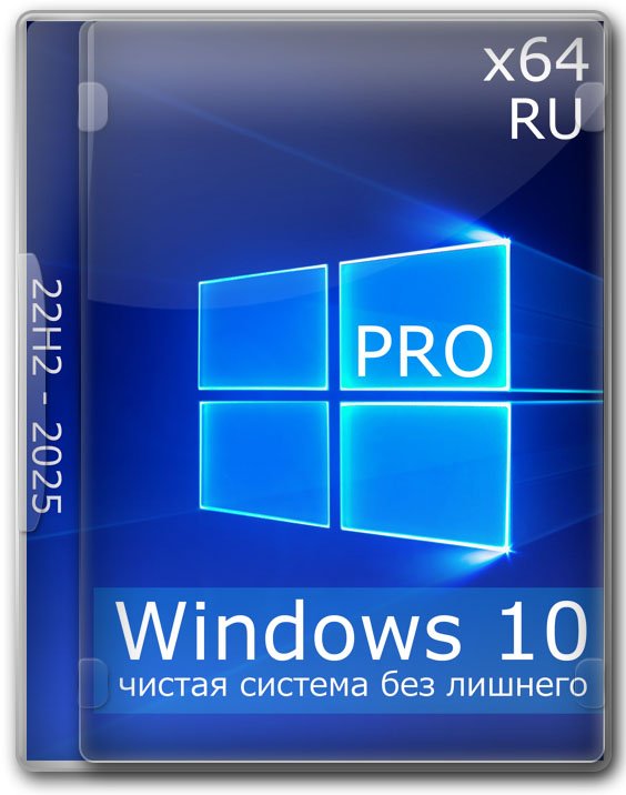  10 Pro 64 bit 22H2    