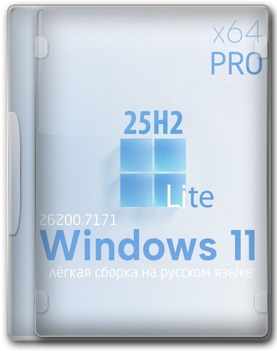  11 Professional 25H2 64 bit   